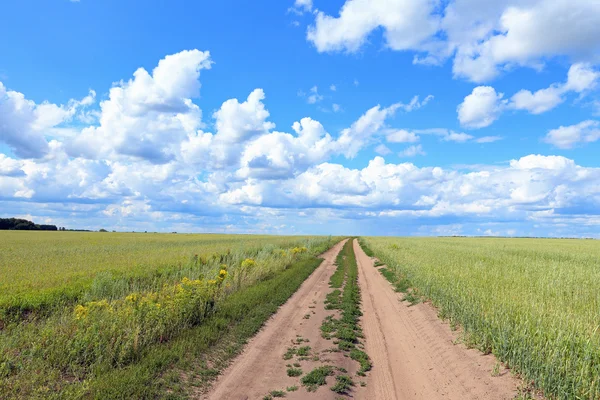 Estrada de terra na tarde de verão — Fotografia de Stock