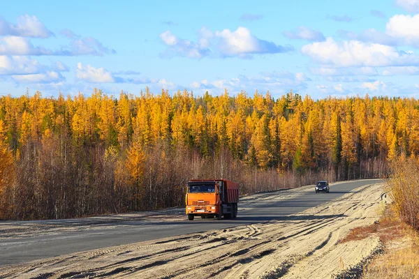Fall in the north of Siberia — Stock Photo, Image