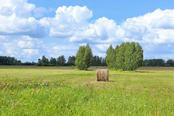 Haymaking en el día soleado —  Fotos de Stock