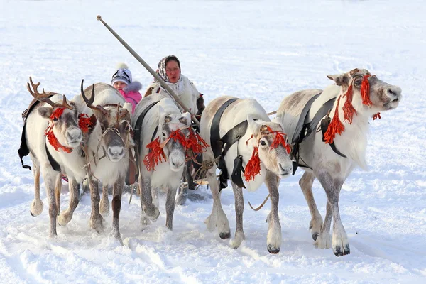 La mujer Nenets y el niño van a los ciervos — Foto de Stock