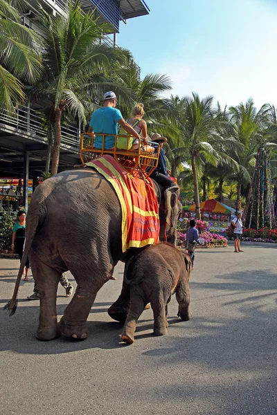 Mladí lidé jezdit sloni — Stock fotografie