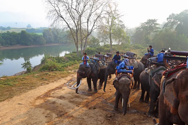 Drivers of elephants on the river bank — Stock Photo, Image