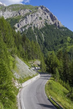 Yoldan görülen dağ manzarası
