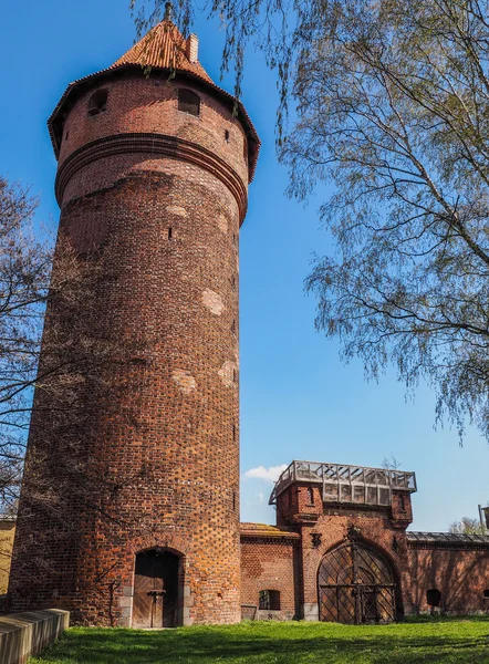 De gamle slotsmure med tårn - Stock-foto