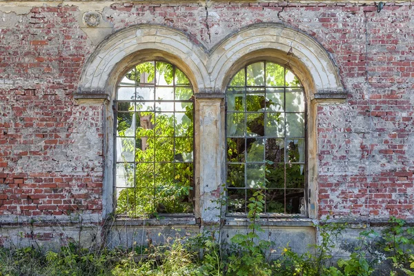 Manor house büyümüş kalıntıları — Stok fotoğraf