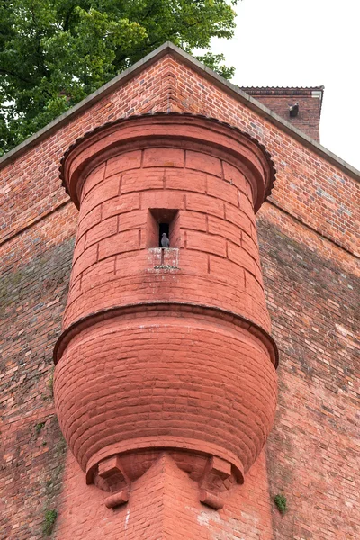 Věž a hrad zdmi z červených cihel — Stock fotografie