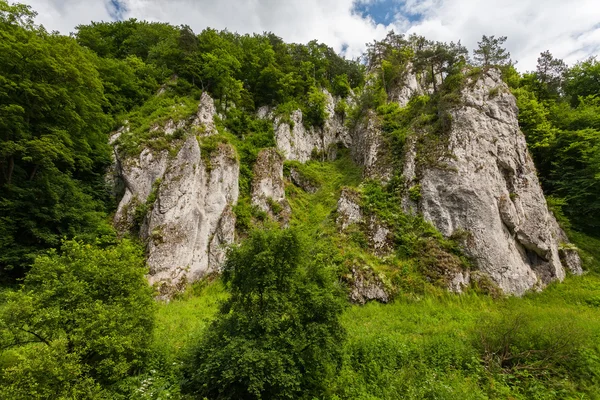 Yeşil kaya oluşumları — Stok fotoğraf