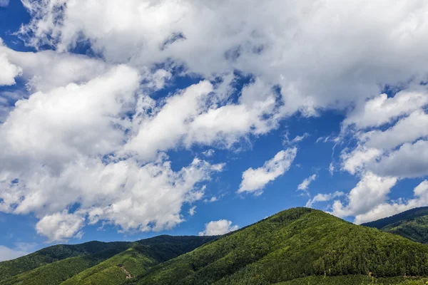 Montagnes boisées en Slovaquie - Europe — Photo