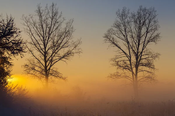 Winterlandschap bij zonsondergang — Stockfoto
