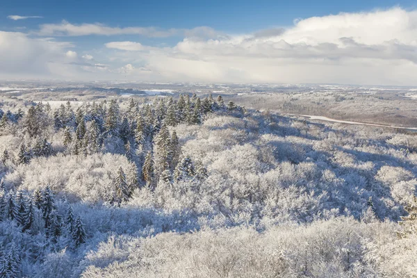 在冬季的森林里的一座小山的观察塔 — 图库照片