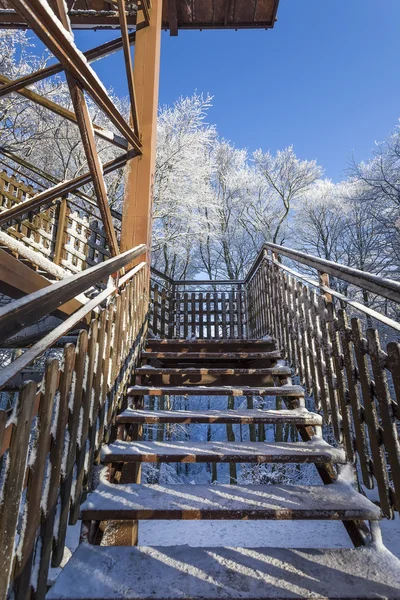 The observation tower on a hill in the winter forest — Stock Photo, Image