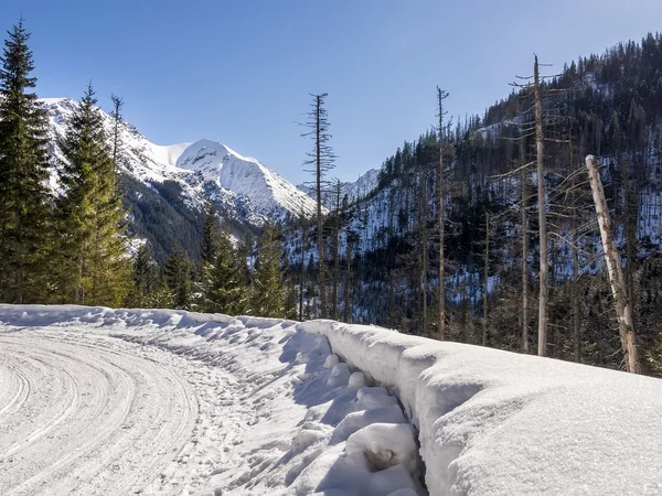 Paisaje invernal en las montañas —  Fotos de Stock