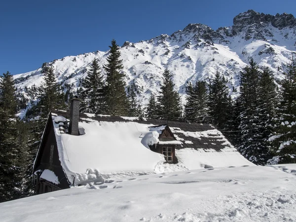 Paisaje invernal en las montañas —  Fotos de Stock