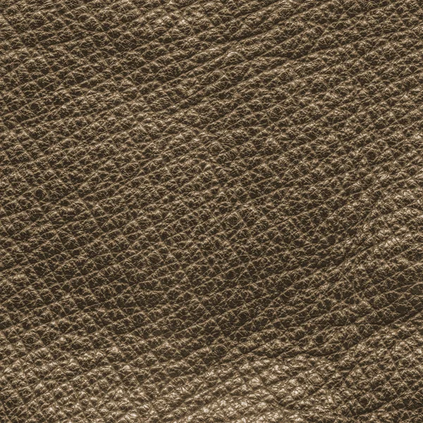 Närbild av brunt läder texture — Stockfoto