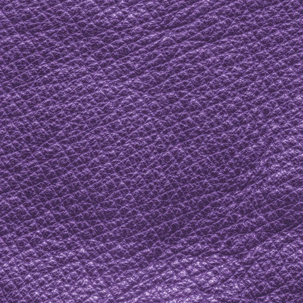 紫罗兰色皮革纹理的特写 — 图库照片