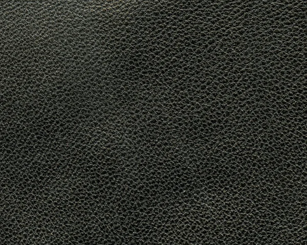 Texture cuir noir. .Peut être utilisé pour le fond — Photo