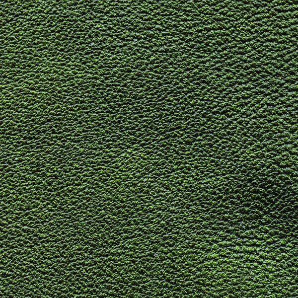 Green leather texture. Useful for background — Stock Photo, Image
