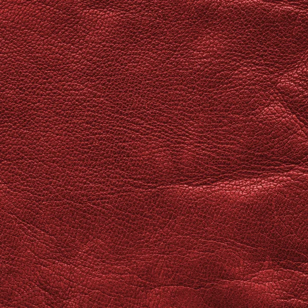 Red crumpled leather background — Stock Photo, Image