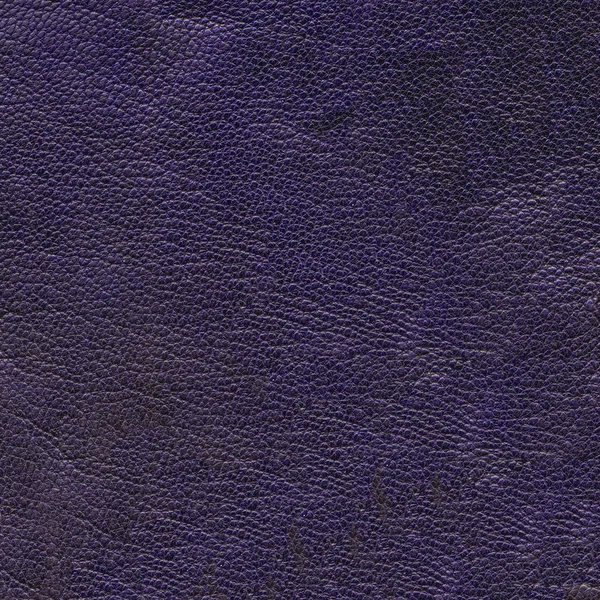 Donker violet leder texture nuttig als achtergrond — Stockfoto