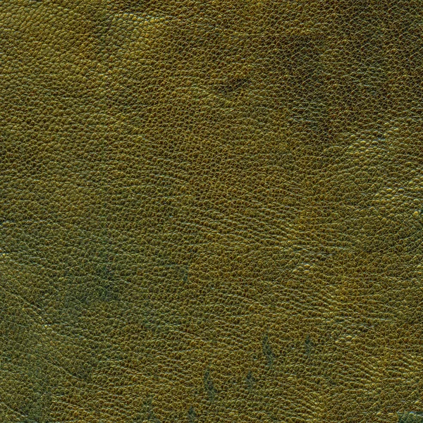 Yellowish-green leather texture, useful as background — Stock Photo, Image