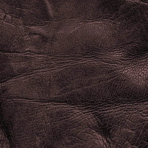 Fragment of old piece of brown  leather — Stock Photo, Image