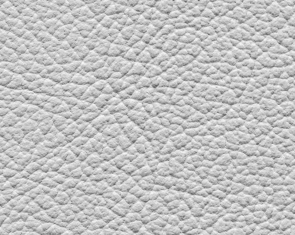 Textura de couro branco close-up — Fotografia de Stock