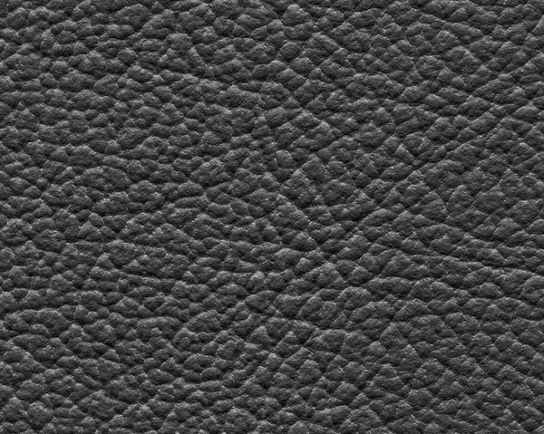 Textura de couro preto close-up — Fotografia de Stock