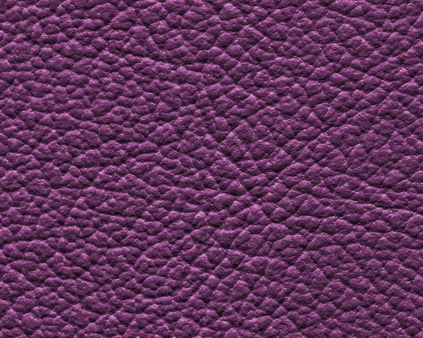 Violet leather texture closeup — Stock Photo, Image