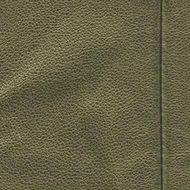 Arkaplan olarak yeşil deri dokusu 