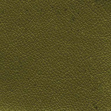 koyu yeşil deri dokusu 