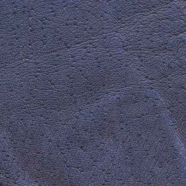 Gray-blue leather background — Stock Photo, Image