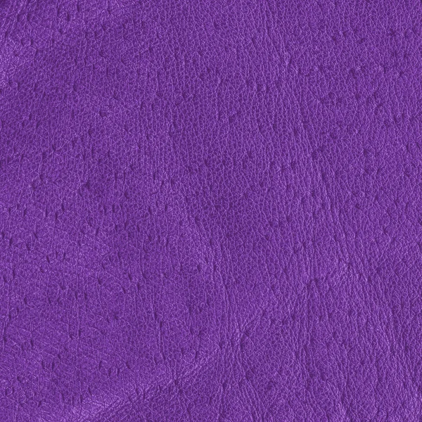 Texture de cuir gant violet — Photo