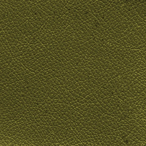 koyu yeşil deri dokusu 