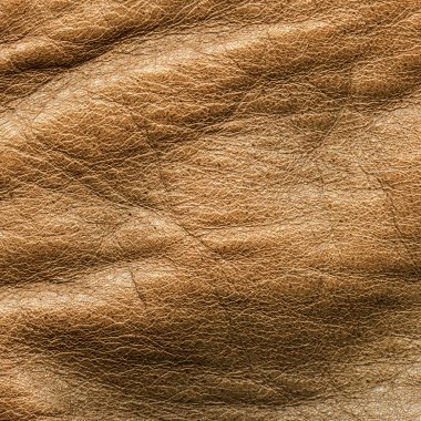 buruşuk sarı-kahverengi deri doku veya arka plan