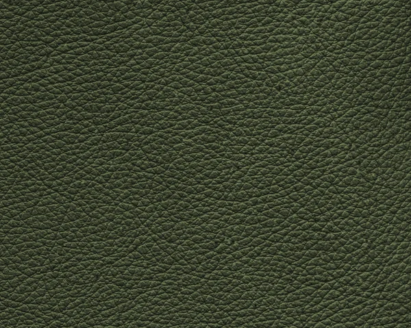 Arka plan olarak koyu yeşil deri dokusu — Stok fotoğraf