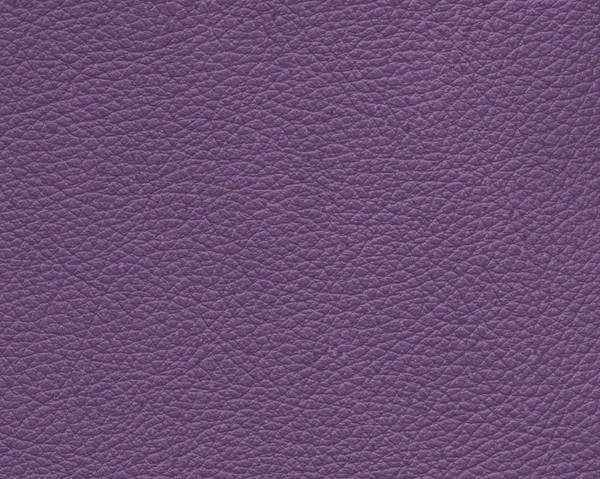 Violet leder texture als achtergrond — Stockfoto