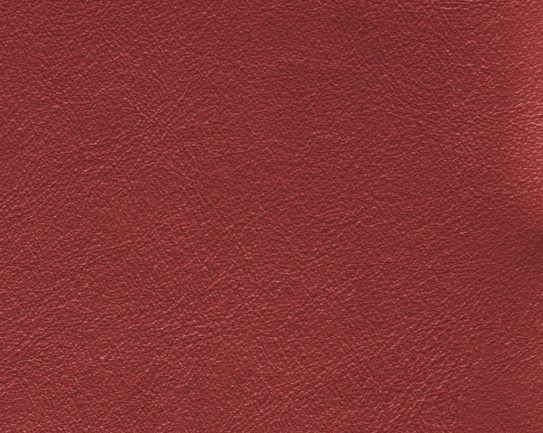 Red  artificial leather texture — Stock Photo, Image