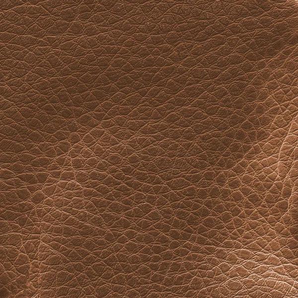 Brown leather texture closeup — Stock Photo, Image