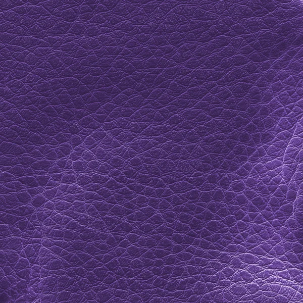 Texture de cuir violet. Utile pour le contexte — Photo
