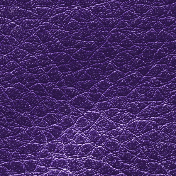 Haute texture détaillée en cuir violet — Photo