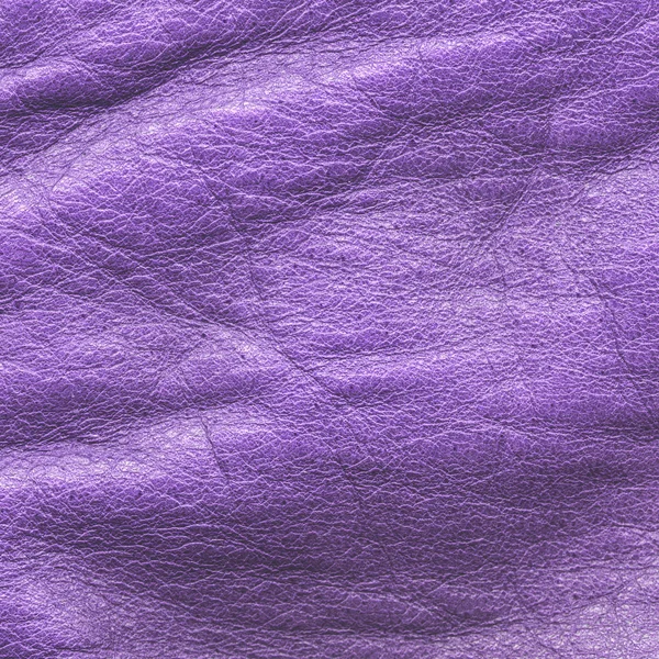 Verfrommeld violet leder texture of achtergrond — Stockfoto