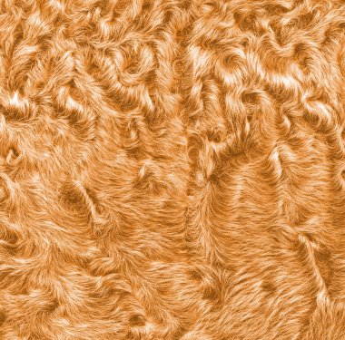Sarı doğal kürk doku veya arka plan