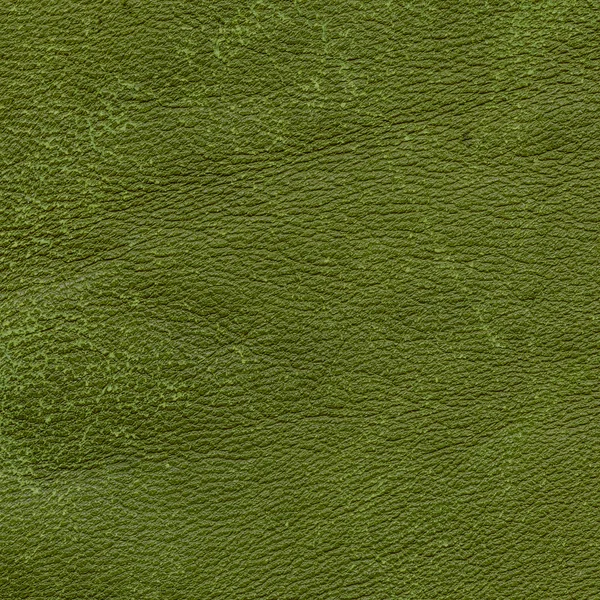 Grüne alte zerkratzte Leder Textur Nahaufnahme — Stockfoto