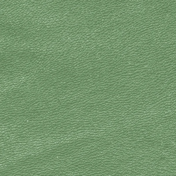 Green leather texture closeup — Stock Photo, Image