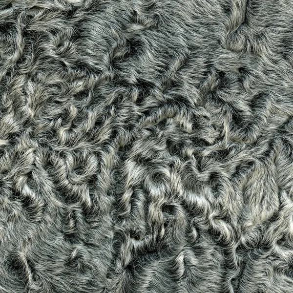 Gray  natural fur texture or background — Stock Photo, Image