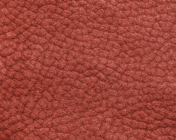 Rode lederen textuur close-up. — Stockfoto