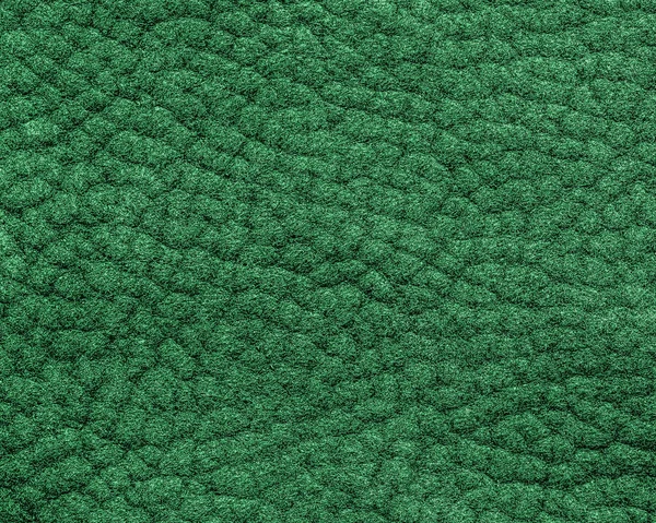 Texture cuir vert gros plan. — Photo