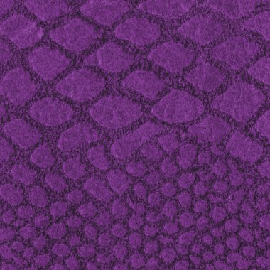 Menekşe yılan cilt dokusunu boyalı