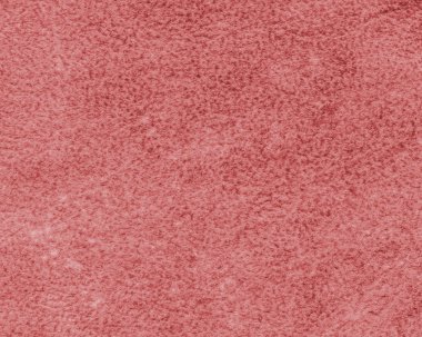 tabaklanmış inek derisi yanlış tarafında kırmızı parçası boyalı  