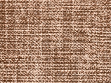 ışık brownr Tela doku portre